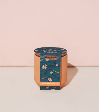 Tiny Terracotta Grow Kits