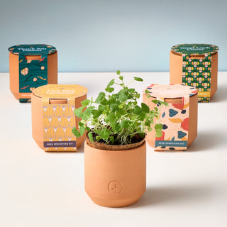 Tiny Terracotta Grow Kits