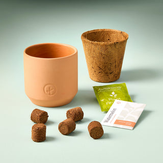 Tiny Terracotta Garden Grow Kit