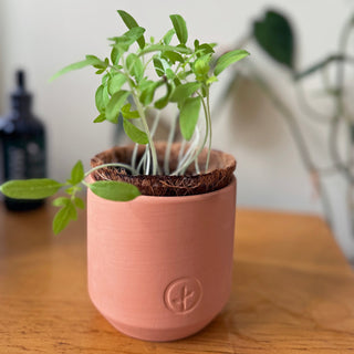 Tiny Terracotta Garden Grow Kit