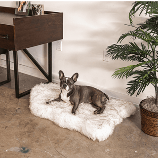 PupRug by Paw.com® Faux Fur Orthopedic Dog Bed – Curve White with Brown Accents