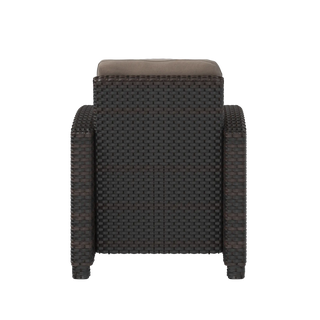 Miles Mocha Finish Outdoor Wicker Club Chair