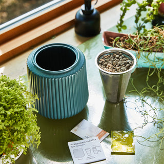 Flower Grow Kits – Fluted Ceramic Planter