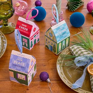 Home Grown Ornament Grow Kit