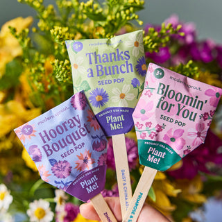 Flower Seed Pops – Growable Wildflower Gift Pops