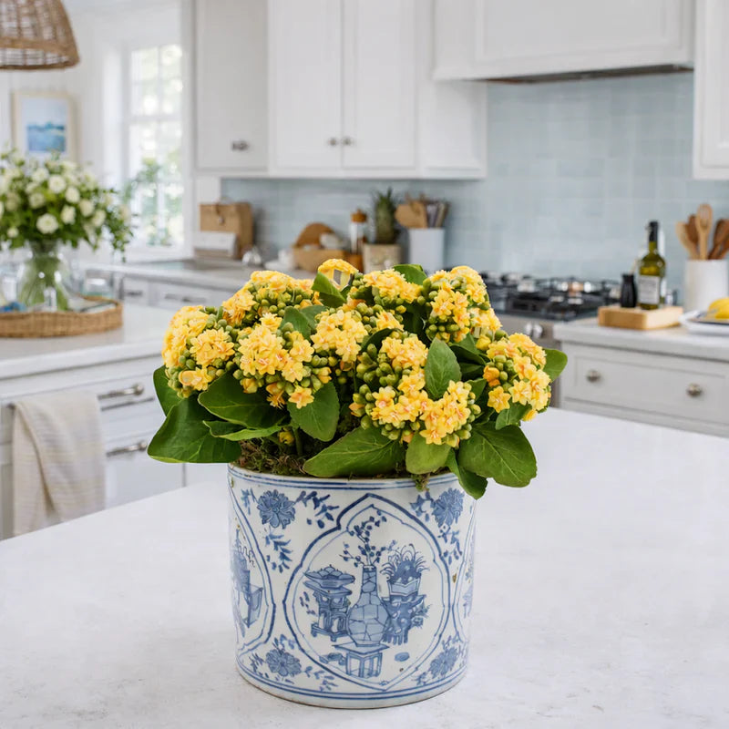 Mid-Size Round Trellis Planter | Decorative Indoor & Outdoor Planter