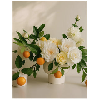Paradise Diffuser Oil