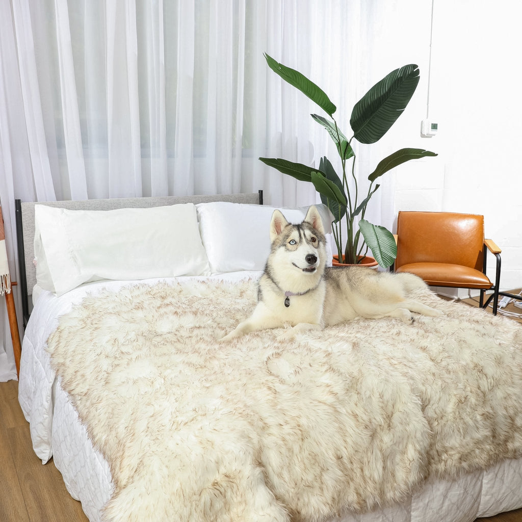 PupProtector™ Waterproof Throw Blanket – White with Brown Accents