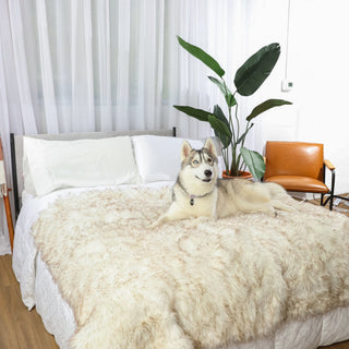 PupProtector™ Waterproof Throw Blanket – White with Brown Accents