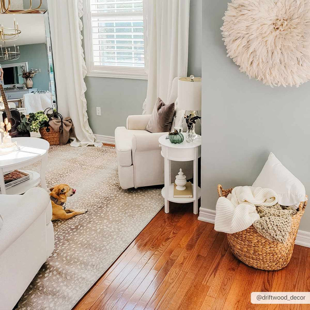 Pointblank Tan Leopard Print Rug – Stylish Animal Print Living Room Rug