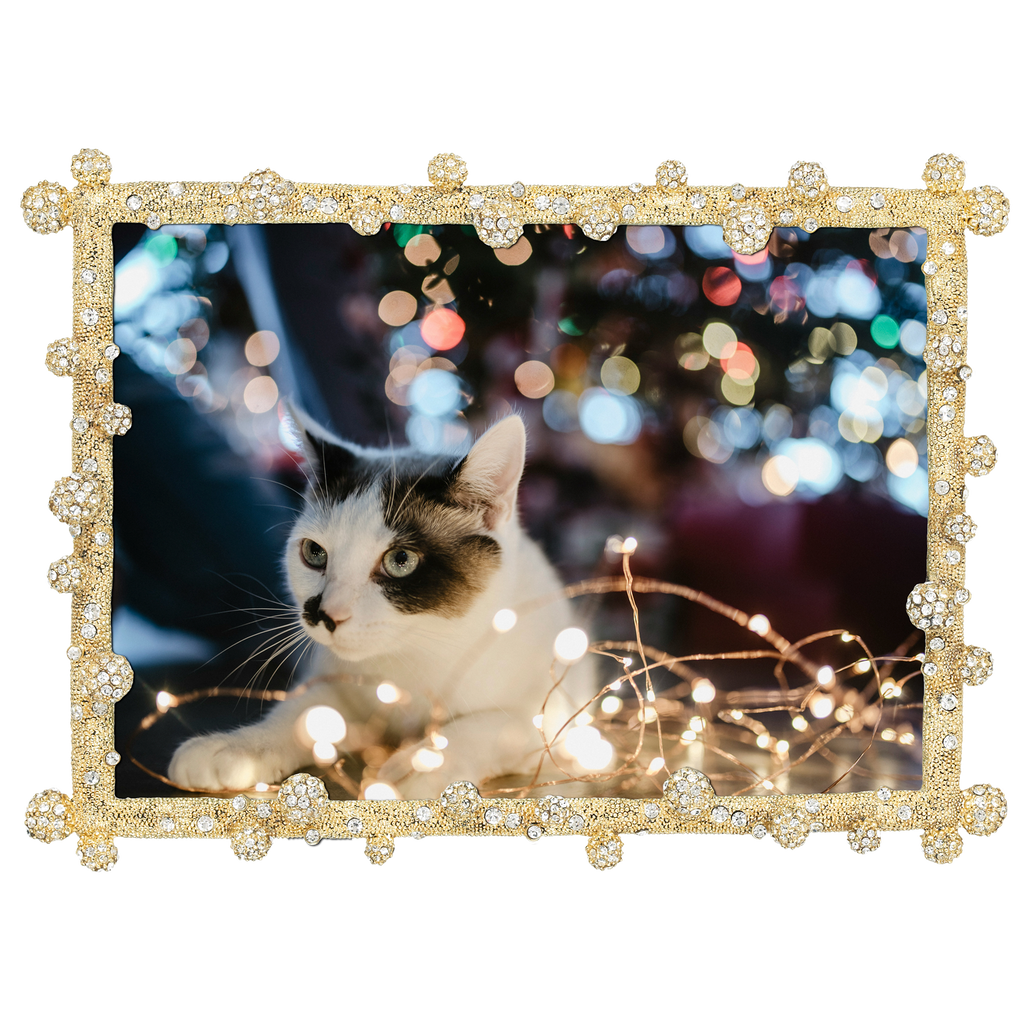 Pavé Odyssey Crystal Picture Frame
