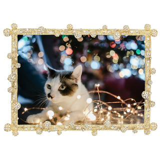 Pavé Odyssey Crystal Picture Frame