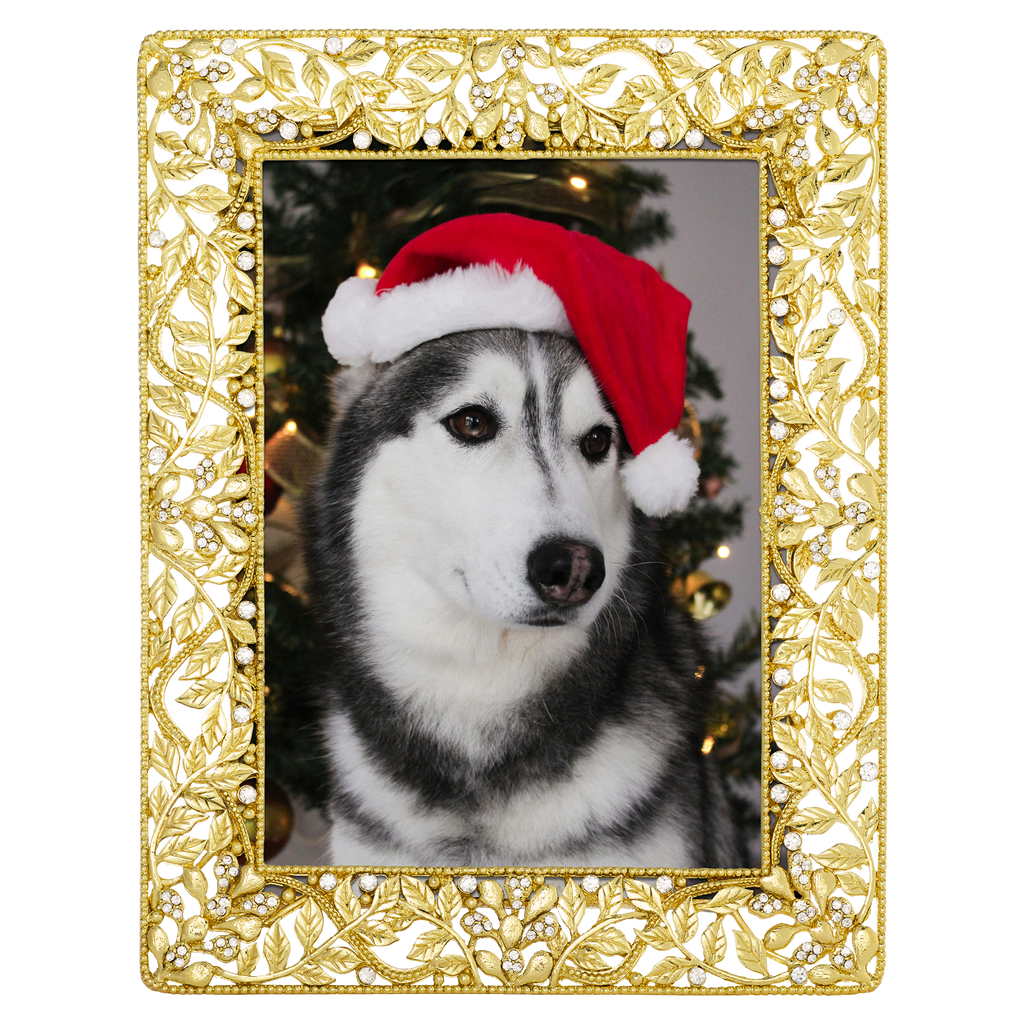 Festoon Picture Frame