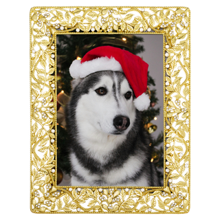 Festoon Picture Frame