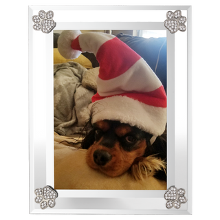 Paw Print Picture Frame