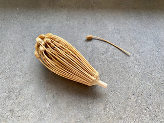 RIVSALT™ Natural Flower Toothpick with Oak Stand