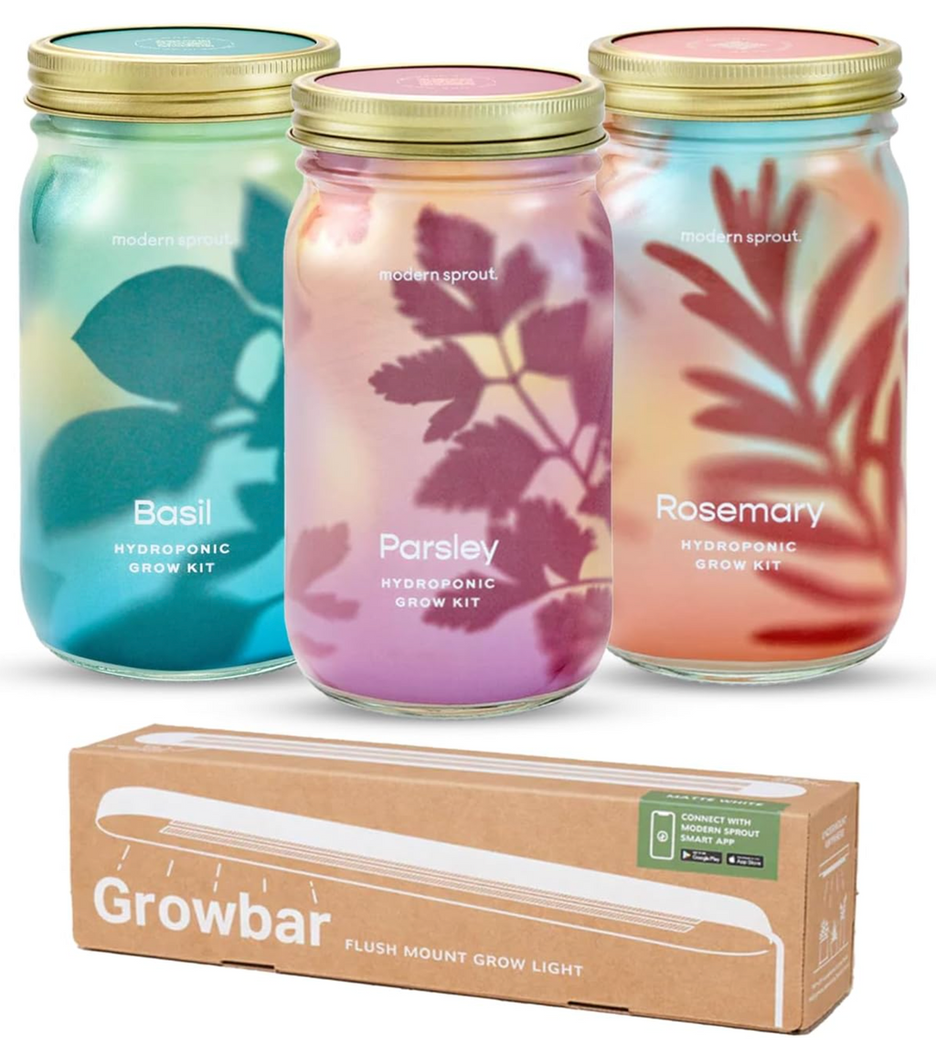 Garden Jars – Organic Herb Growing Kit