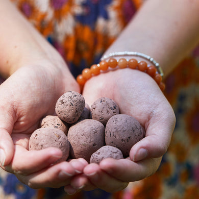Seed Bombs Grow Kit