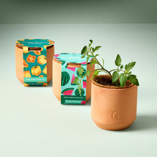 Tiny Terracotta Garden Grow Kit
