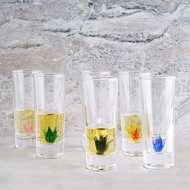 Tequila Decanter Set with Hand-Blown Agave Design and 6 Matching Agave Glasses