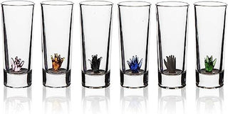 Tequila Decanter Set with Hand-Blown Agave Design and 6 Matching Agave Glasses