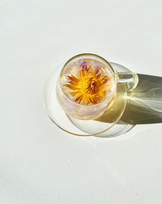 Glass Cups & Saucers Set (2) – Heat-Resistant Borosilicate Tea Cups