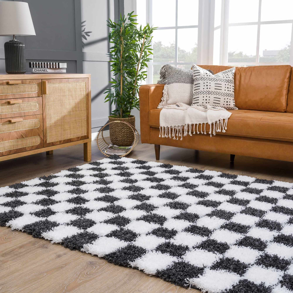 Atira Black White Checkered Area Rug – Modern Patterned Washable Carpet