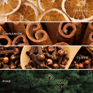 Warm and Cozy Clear Reed Diffuser