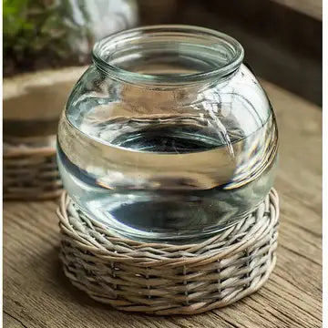 Glass Terrarium and Aquatic Display Jar Set of 2