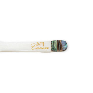 Abalone Shell Mother of Pearl Caviar Spoon – Large