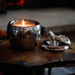 Silver Malus Apple Candle – Fruity Apple Scented Candle in Silver Design