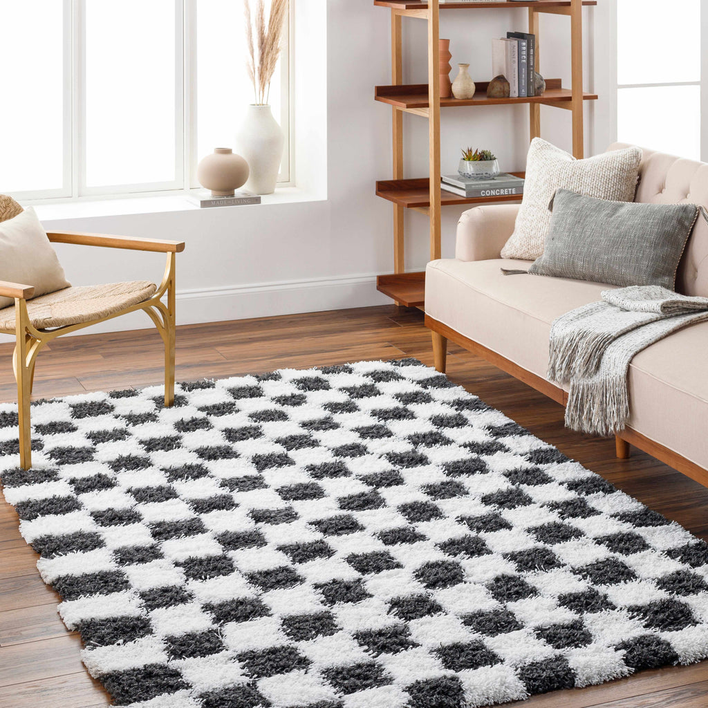 Atira Black White Checkered Area Rug – Modern Patterned Washable Carpet