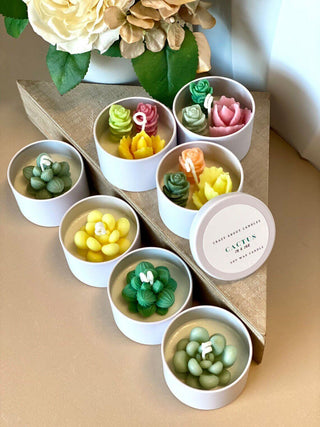 Cactus in a Jar Scented Candle - Handmade Aroma Bliss