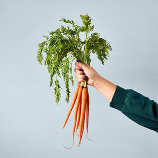 Carrot Bunch Seed Pop โ Grow Your Own Crunchy Carrots! - Anara Lifestyle