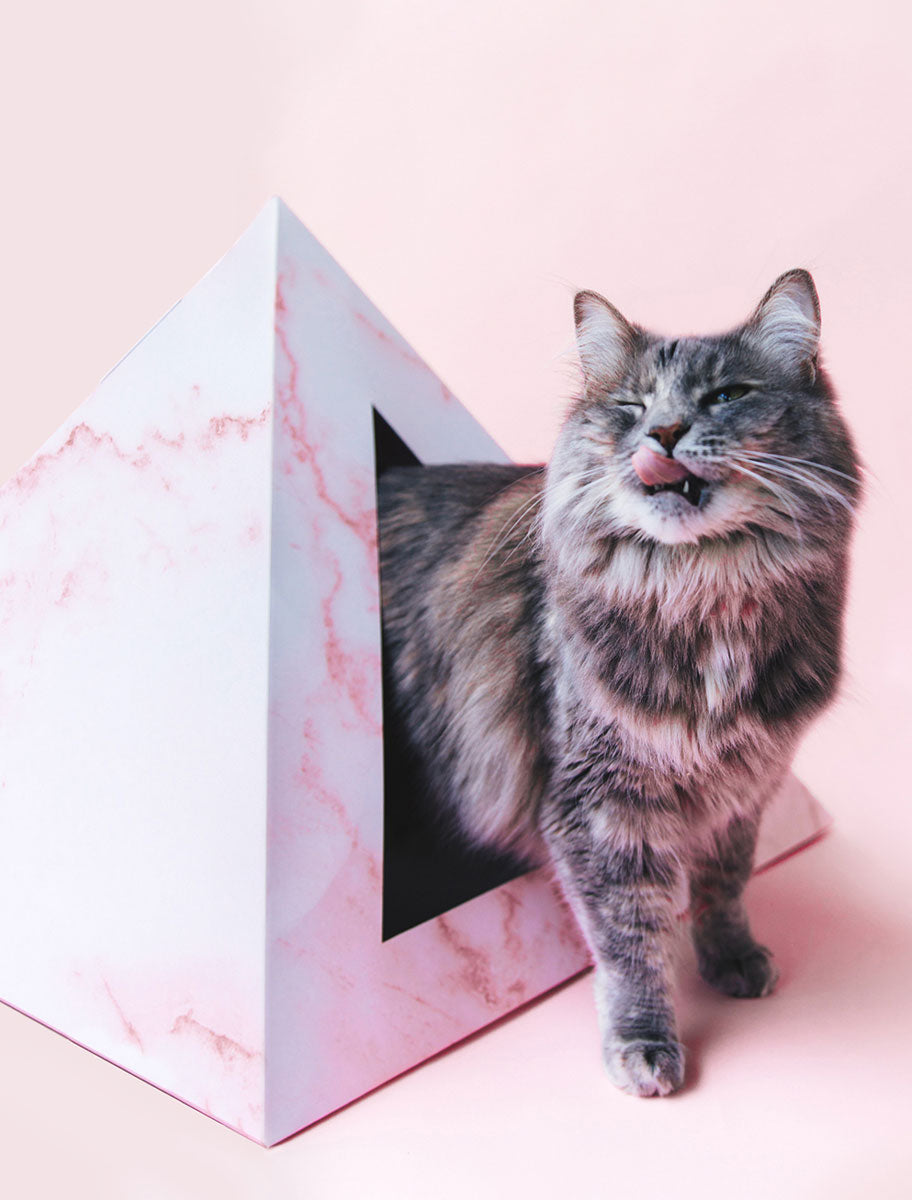 Rose Quartz Cardboard Cat Pyramid | Stylish Eco-Friendly Cat Hideaway