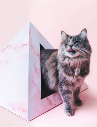 Rose Quartz Cardboard Cat Pyramid | Stylish Eco-Friendly Cat Hideaway