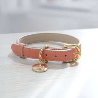 Eco-Friendly Vegan Dog Collar | Modern, Comfortable Pet Collar