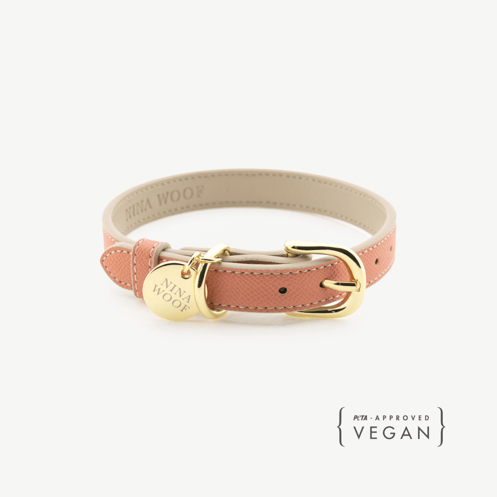 Eco-Friendly Vegan Dog Collar | Modern, Comfortable Pet Collar