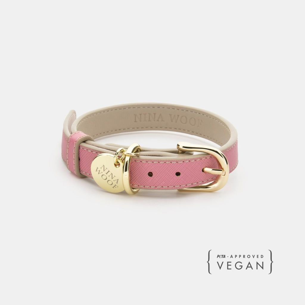 Eco-Friendly Vegan Dog Collar | Modern, Comfortable Pet Collar