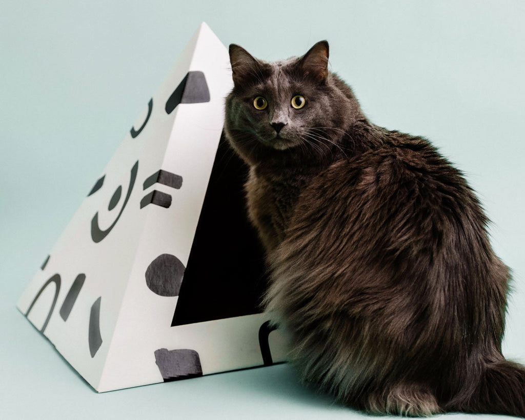 Doodle Cardboard Cat Pyramid | Playful Eco-Friendly Cat Hideaway
