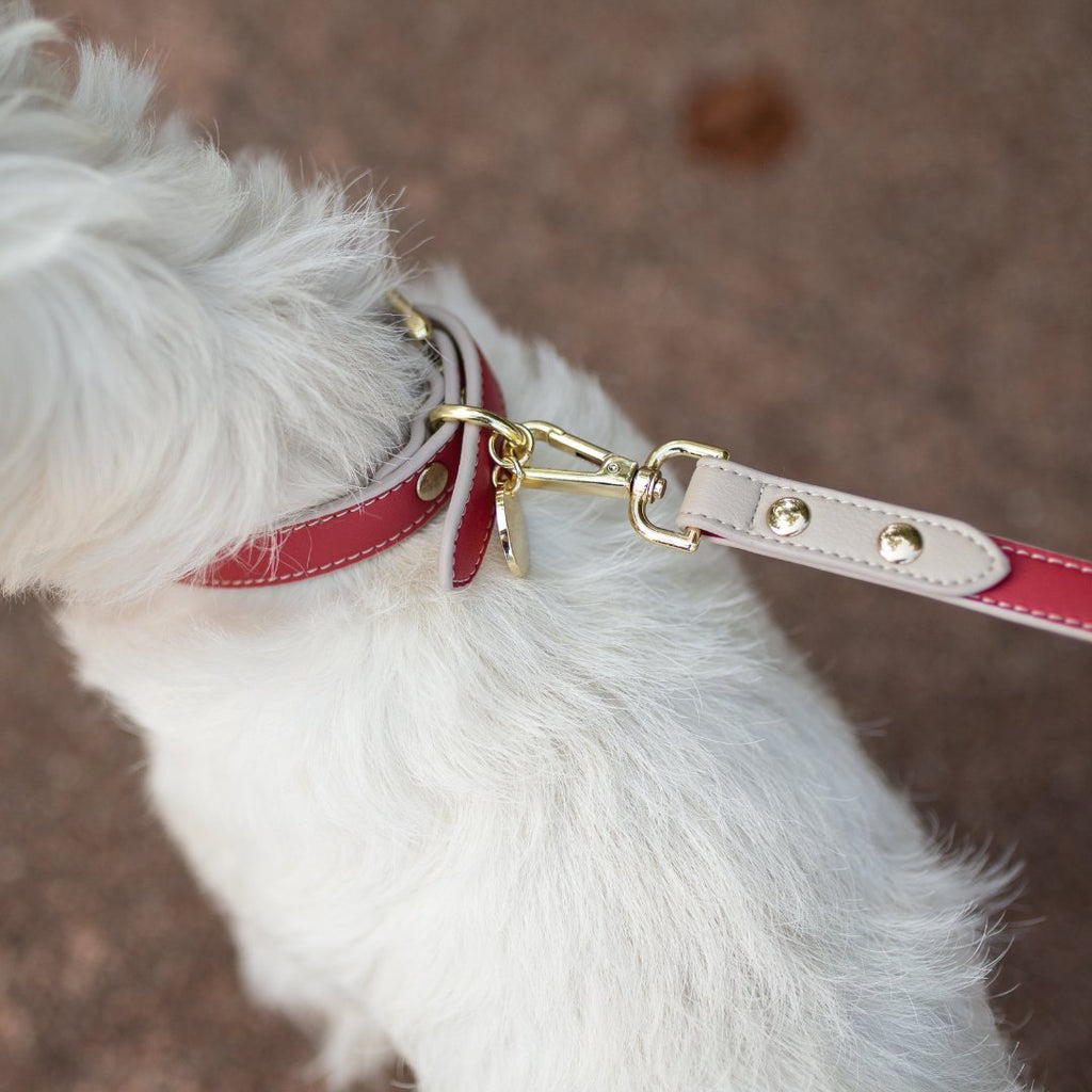 Copenhagen Vegan Leather Dog Leash 4ft | Soft & Stylish Nordic Design