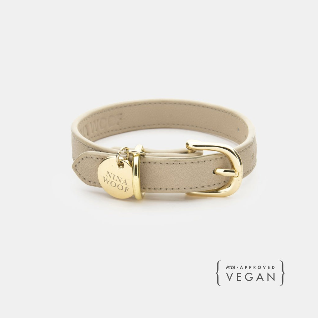 Eco-Friendly Vegan Dog Collar | Modern, Comfortable Pet Collar