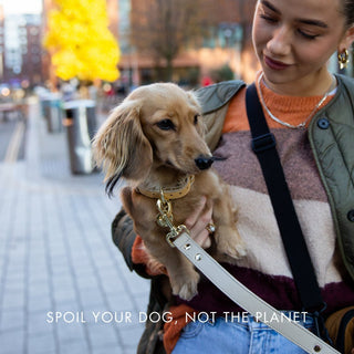 Copenhagen Vegan Leather Dog Collar – Soft, Stylish & Nordic Inspired