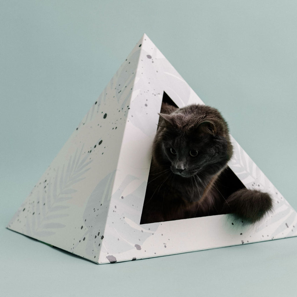 Oasis Cardboard Cat Pyramid | Eco-Friendly Modern Cat Hideaway