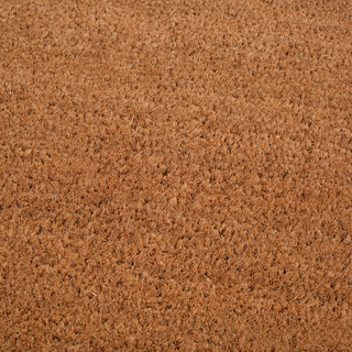 Double Black Border Natural Coir Doormat