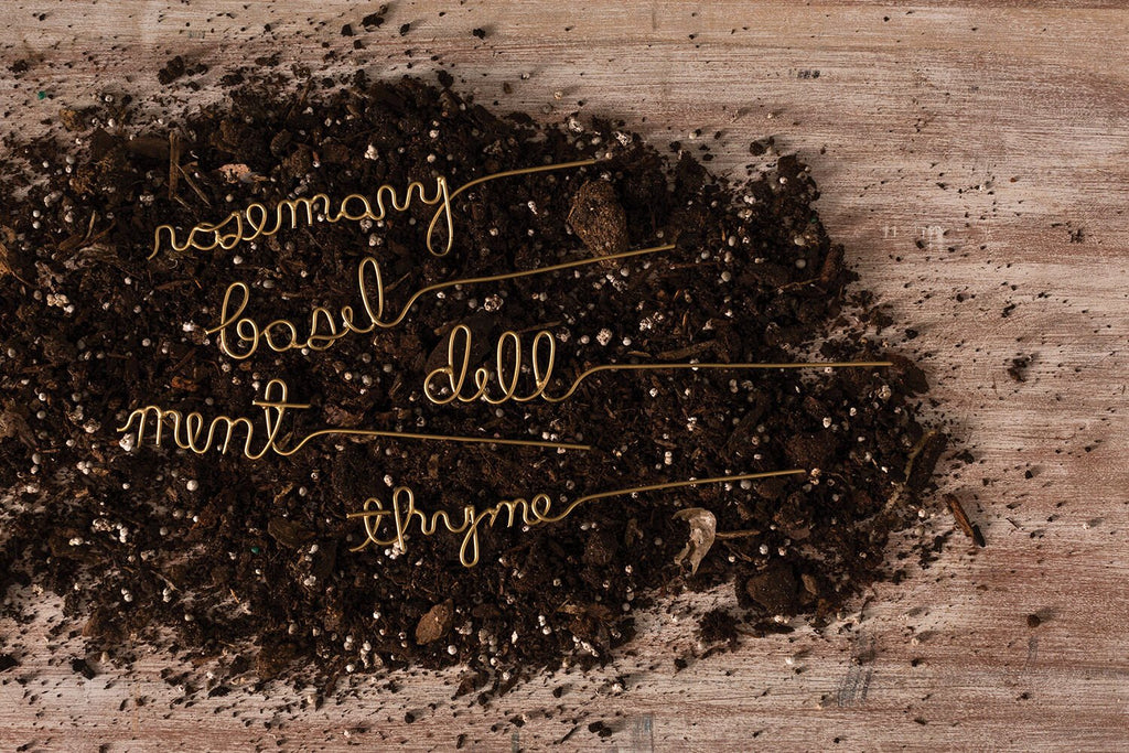 Elegant Gold Wire Herb Markers – Set of 5 (Mint, Rosemary, Basil, Dill & Thyme) - Anara Lifestyle