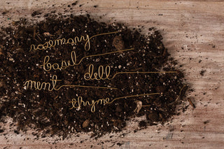 Elegant Gold Wire Herb Markers – Set of 5 (Mint, Rosemary, Basil, Dill & Thyme) - Anara Lifestyle