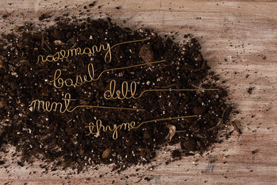 Elegant Gold Wire Herb Markers – Set of 5 (Mint, Rosemary, Basil, Dill & Thyme) - Anara Lifestyle