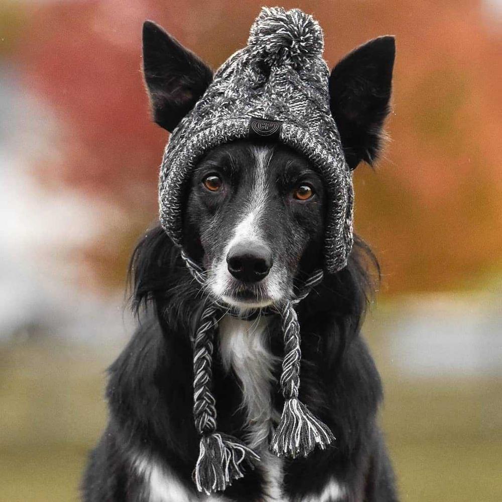 Winter Knitted Pet Hat – Cozy Fluffy Pom Pom Dog & Cat Beanie
