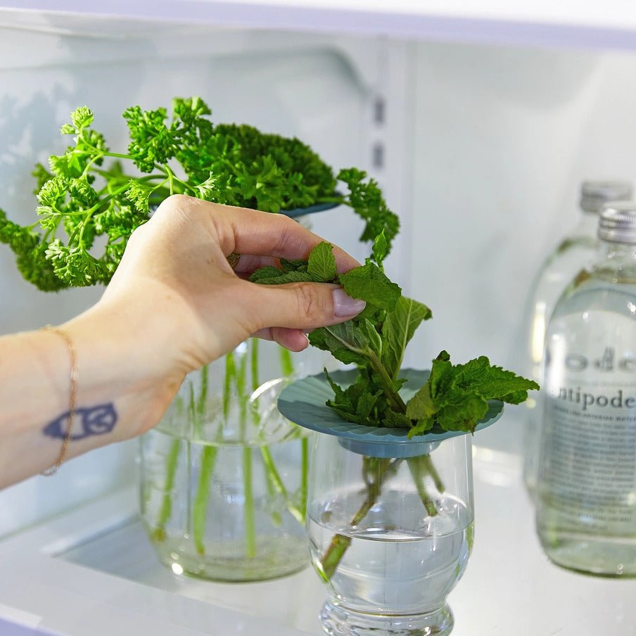 Fresh Herb Keeper – Extend the Life of Your Herbs - Anara Lifestyle